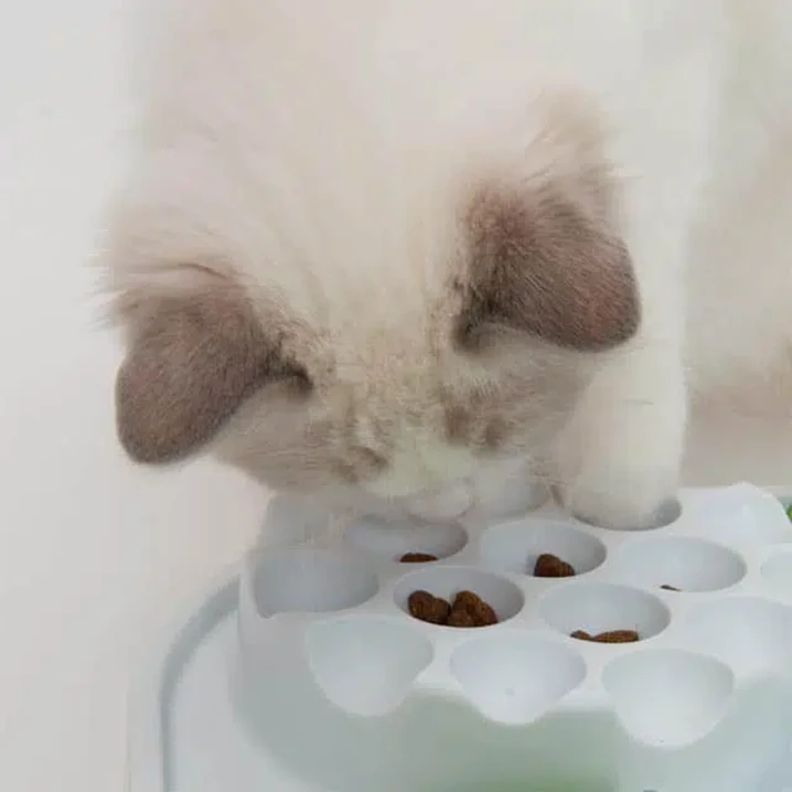 CATIT Senses Treat Puzzle - duża zabawka na karmę i smakołyki dla kota, aktywizująca i spowalniająca jedzenie - 4