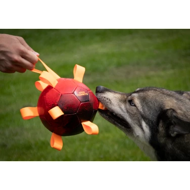 DOG COMETS Hypernova - duża, wytrzymała piłka z pętelkami i pompką w zestawie, pomarańczowa - 2