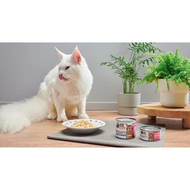JOHN DOG for cats Fillets - pełnoporcjowa,  mokra karma dla dorosłych kotów, filet z kurczaka - 3