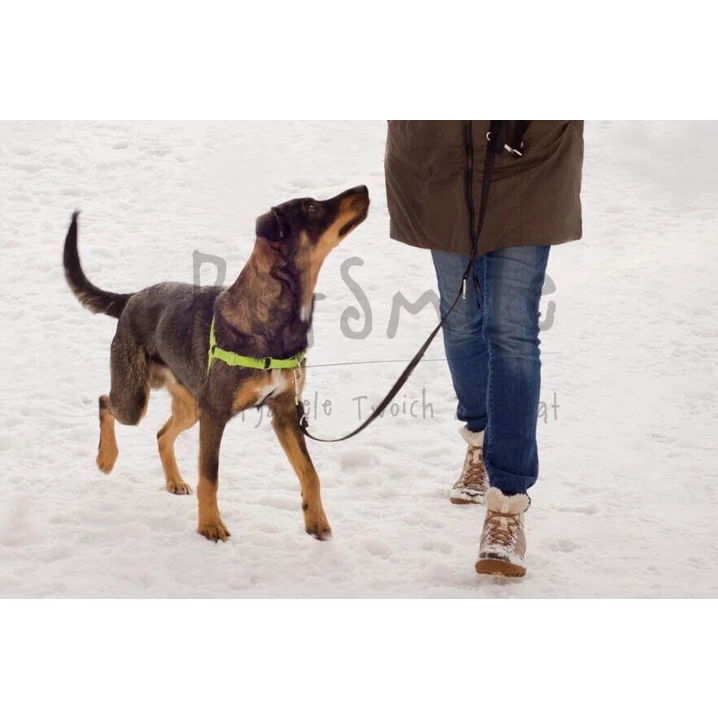 PETSMILE easy-walk - szelki dla psów ciągnących na smyczy typu easy-walk, zielone - 10