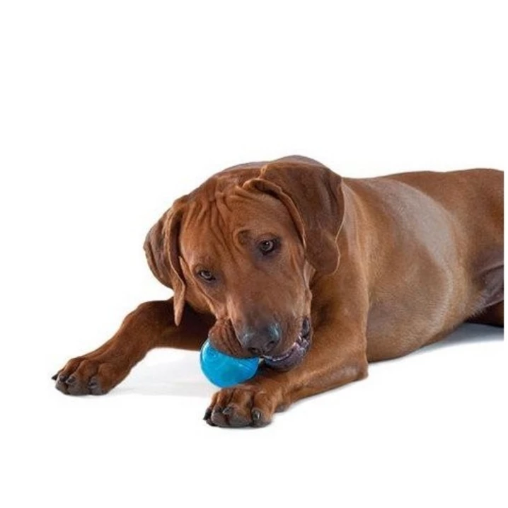 PETSTAGES Orka - piłka z niezwykle miękkiej i wytrzymałej gumy - uwielbiana przez psy! 6,5 cm - 2