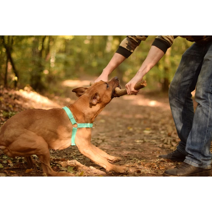 PETSMILE easy-walk - szelki dla psów ciągnących na smyczy typu easy-walk, miętowe - 10