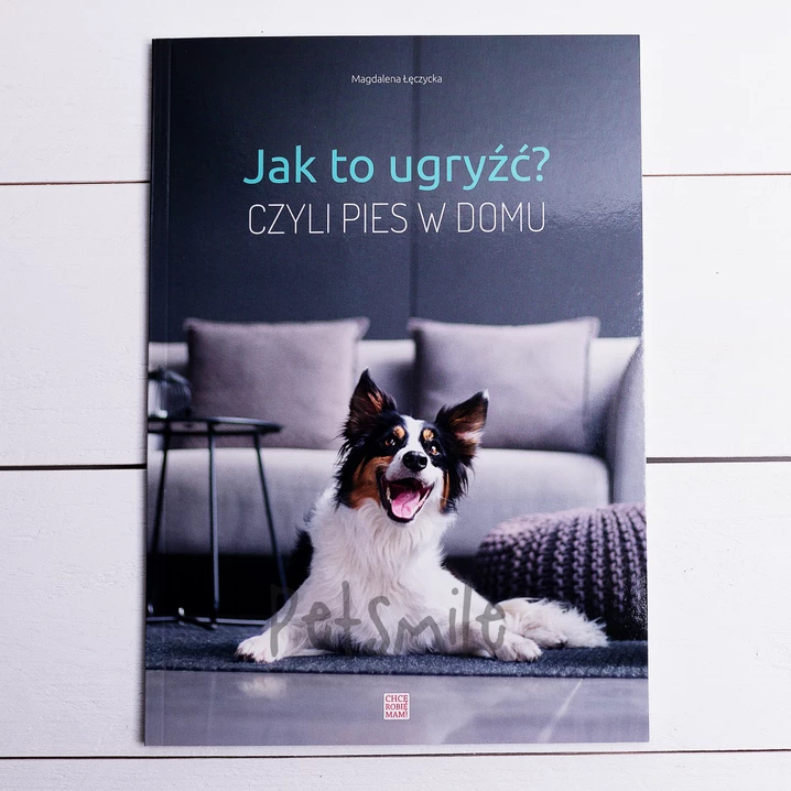 Jak to ugryźć? Czyli pies w domu - Magdalena Łęczycka - 2