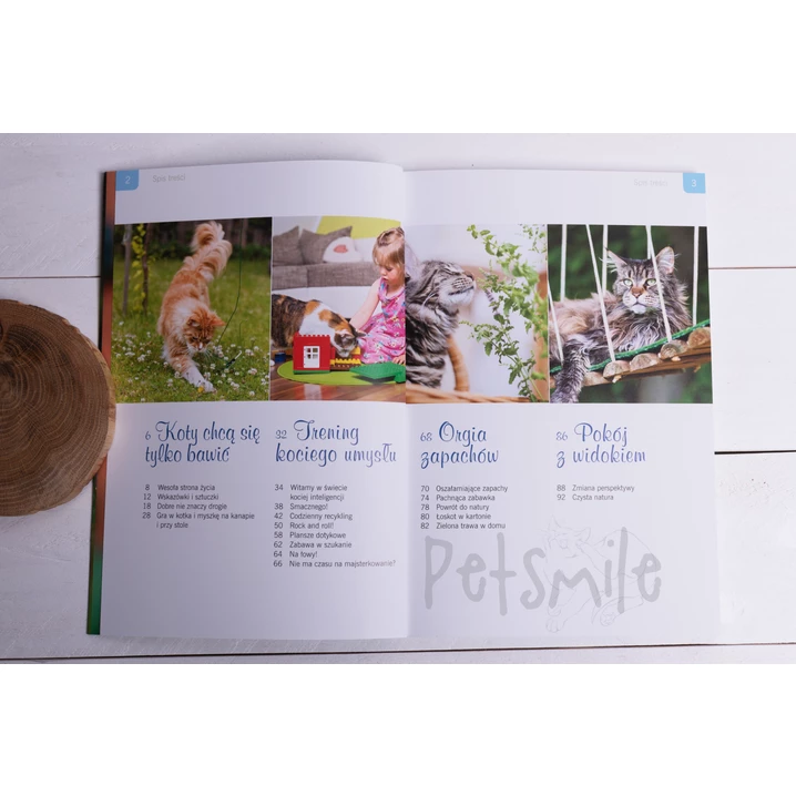 Kot. Gry i zabawy edukacyjne - Heike Grotegut - 4