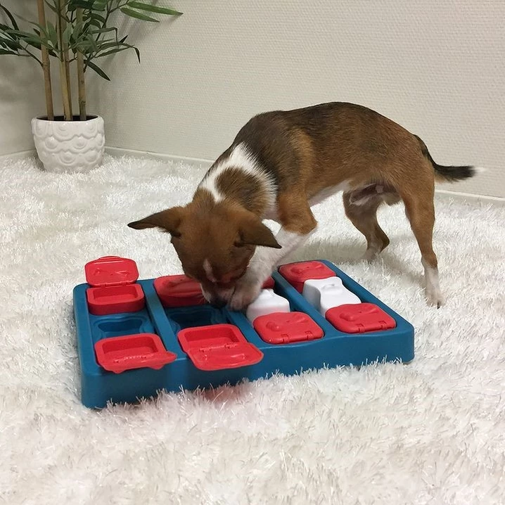 OUTWARD HOUND Nina Ottosson Dog Brick - zabawka interaktywna, łamigłówka dla psa, poziom 2 - 5