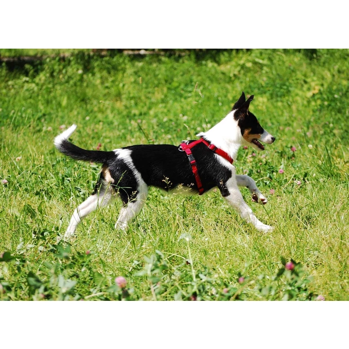 TRIXIE nylonowe szelki dla psa typu guard, czerwone - 6