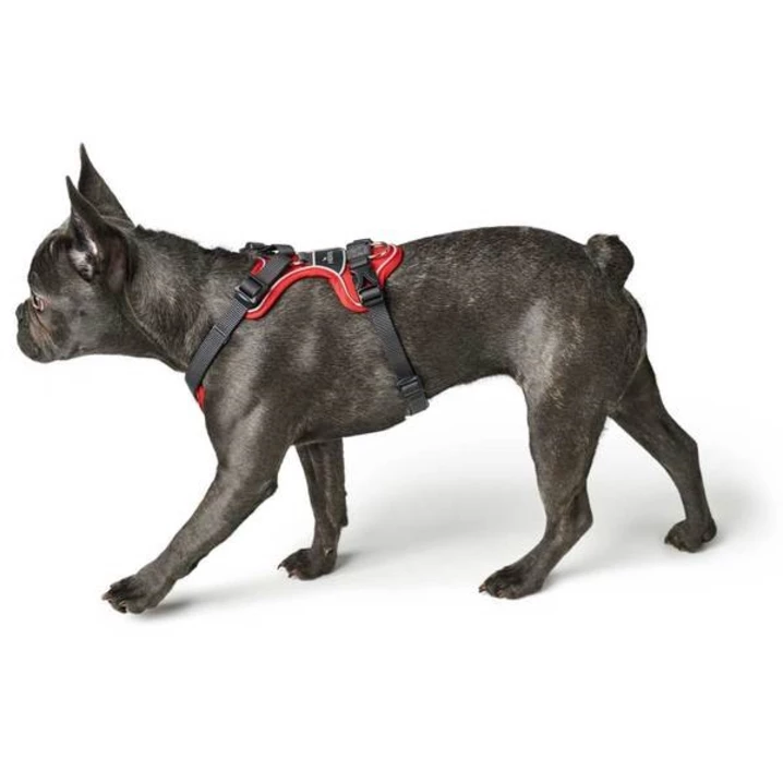 HUNTER Divo - bezuciskowe szelki dla psa typu guard z opcją easy walk, czerwone - 6