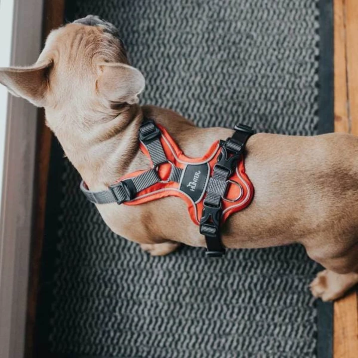 HUNTER Divo - bezuciskowe szelki dla psa typu guard z opcją easy walk, czerwone - 8