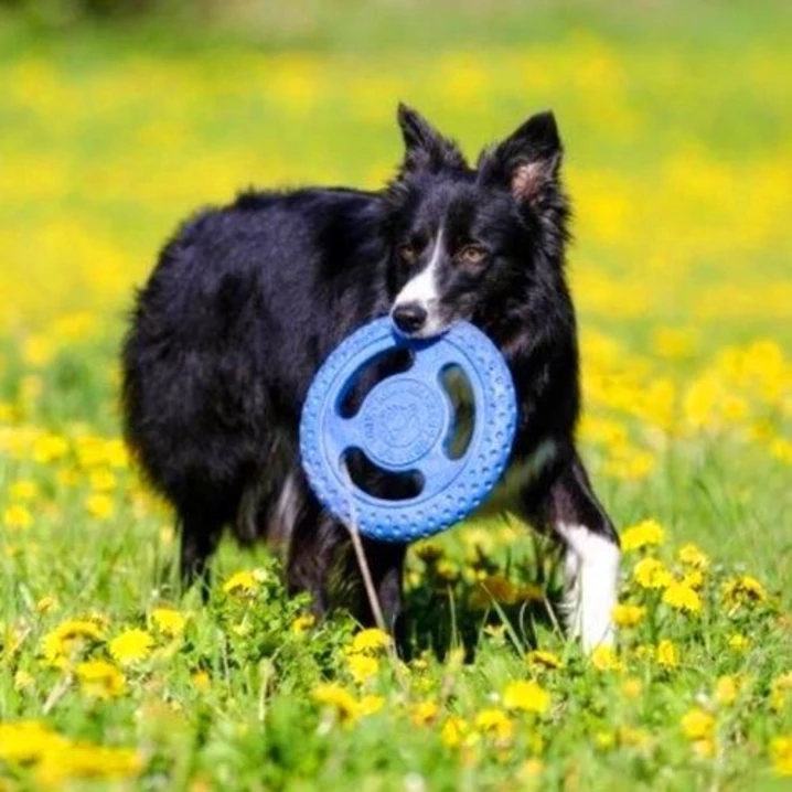 KIWI WALKER Frisbee - pływające frisbee dla psa do aportu i przeciągania, niebieskie - 3