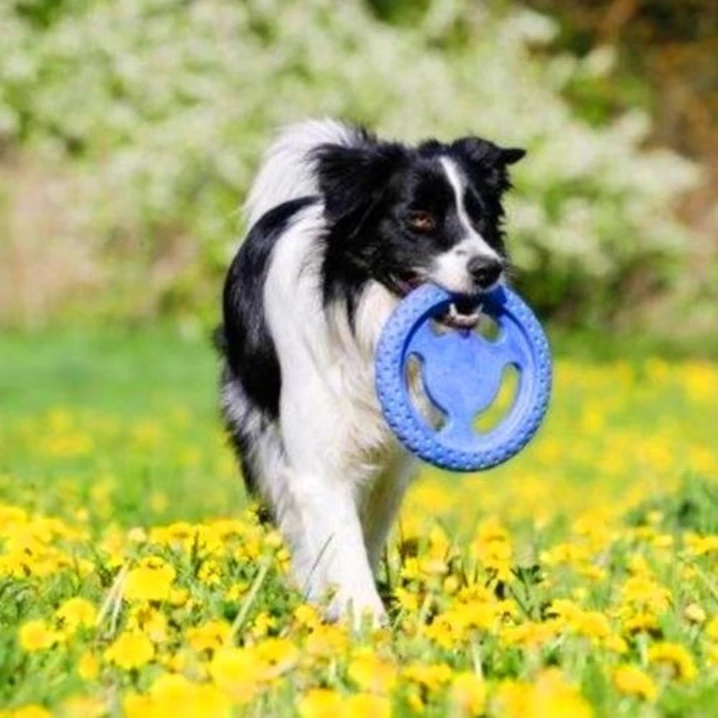 KIWI WALKER Frisbee - pływające frisbee dla psa do aportu i przeciągania, niebieskie - 4