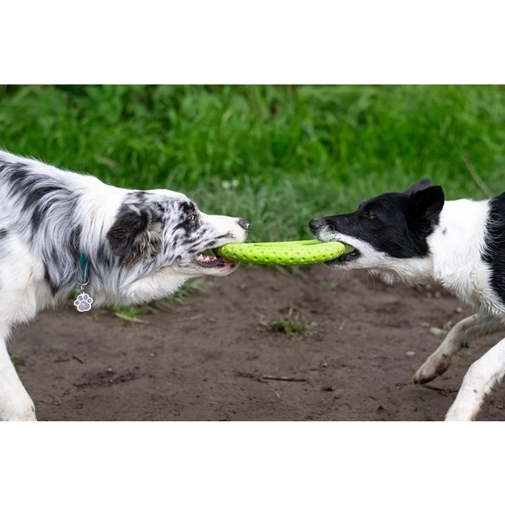 KIWI WALKER Frisbee - pływające frisbee dla psa do aportu i przeciągania, niebieskie - 9