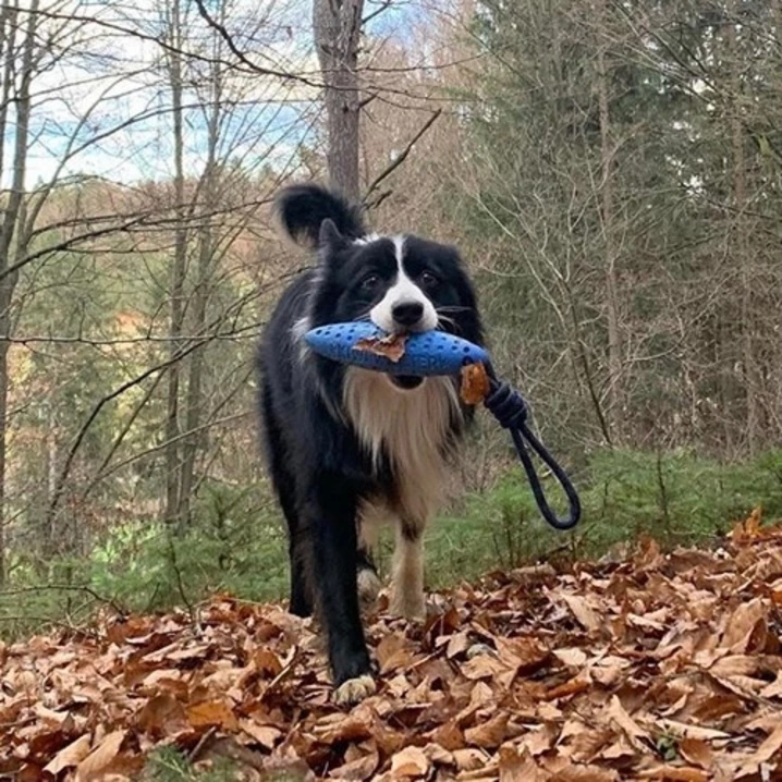 KIWI WALKER Zeppelin - pływający aport dla psa z liną, różowy - 8