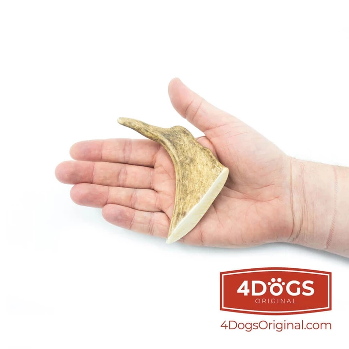 4DOGS - naturalny, twardy gryzak dla psów z poroża daniela - 2