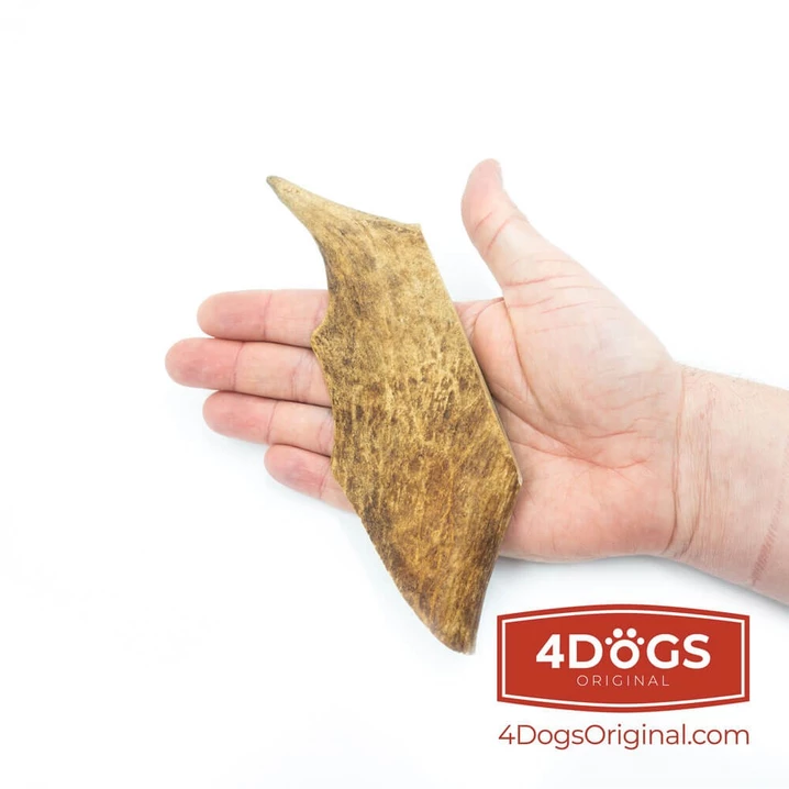 4DOGS - naturalny, twardy gryzak dla psów z poroża daniela - 4