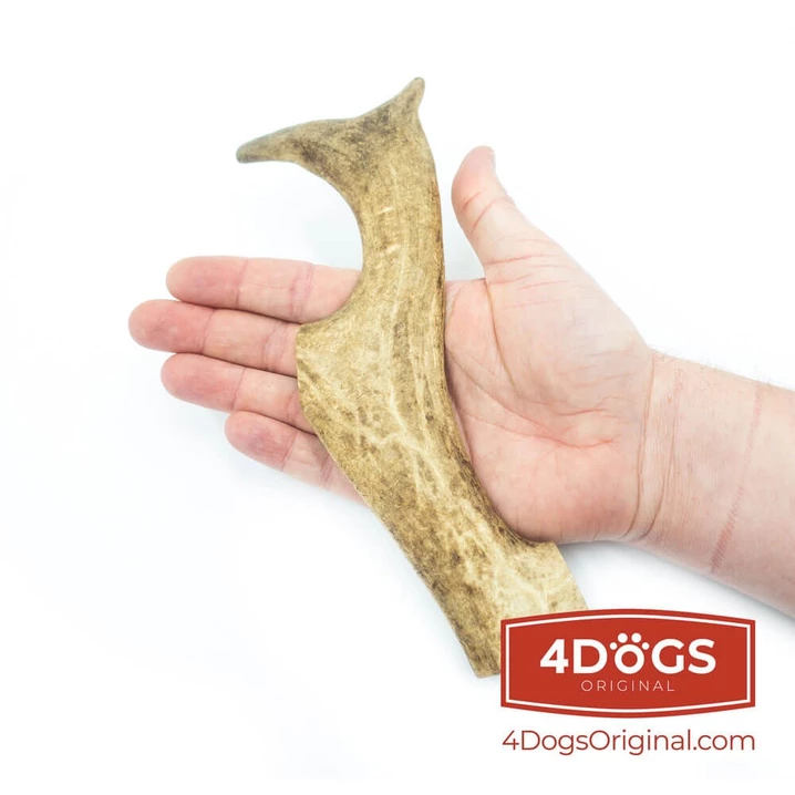 4DOGS - naturalny, twardy gryzak dla psów z poroża daniela - 5