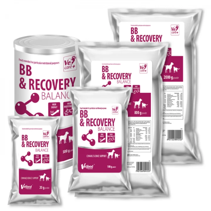 VETFOOD BB & Recovery Balance - preparat wspomagający rekonwalescencję u psów i kotów