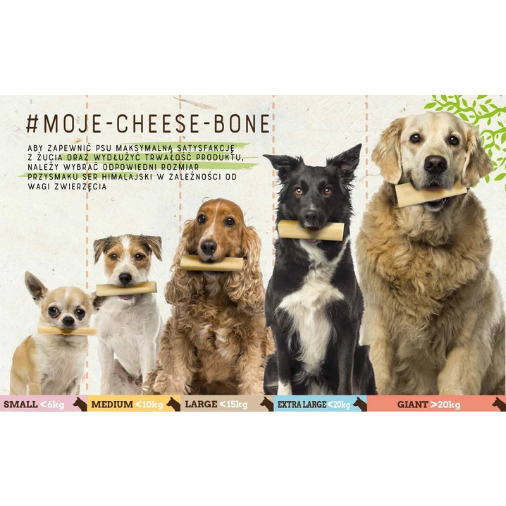 ZOLUX Cheese Bone - gryzak z twardego sera himalajskiego dla psa - 3