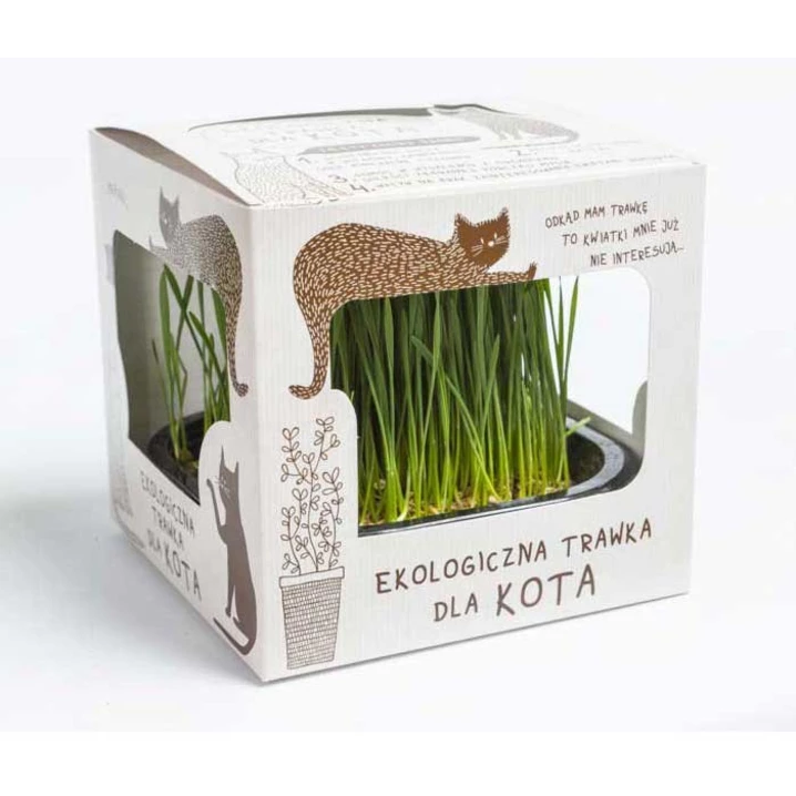 KOT W BUTACH - ekologiczna trawa dla kota, gotowa do spożycia