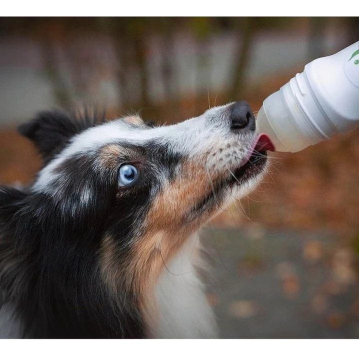 SMOOTHIEDOG + DOGGYROLLER - zestaw dwóch smoothie wołowina i kurczak z turkusowym rollerem dla psów - 6