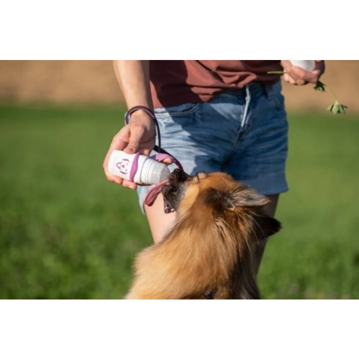 DOGGYROLLER - innowacyjny podajnik na półpłynne smakołyki dla psa, różowy - 3