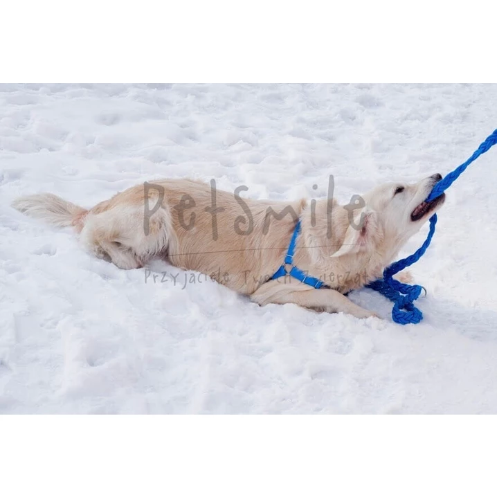 PETSMILE easy-walk - szelki dla psów ciągnących na smyczy typu easy-walk, niebieskie - 5