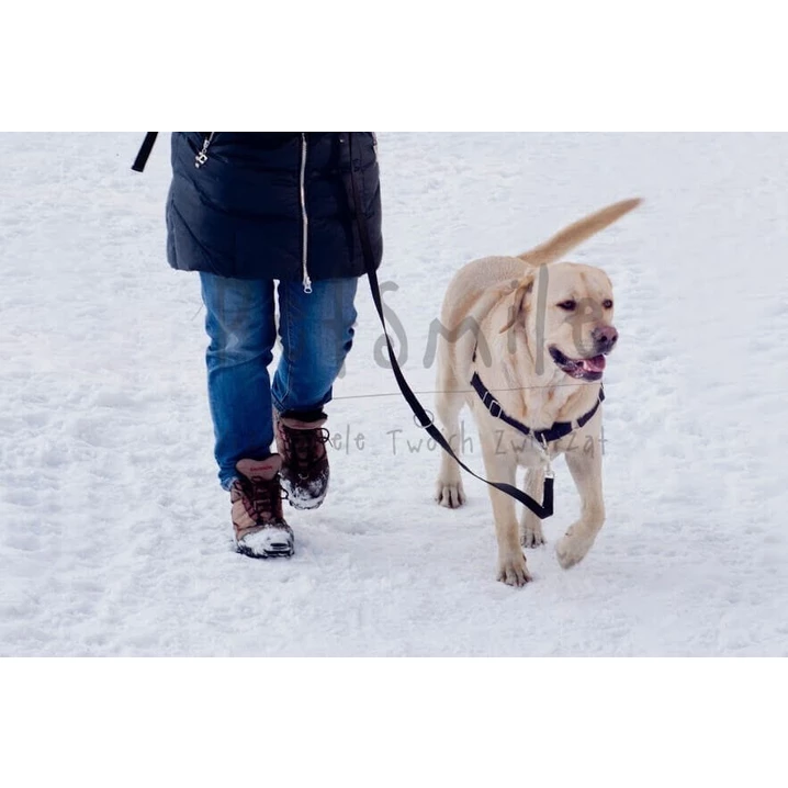PETSMILE easy walk szelki dla psow ci gn cych na smyczy typu easy walk czarne S PETSMILE
