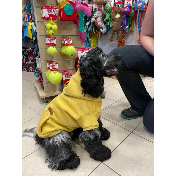 AMIPLAY Texas - jesienno-zimowa bluza z kapturem dla psa, żółta - 4