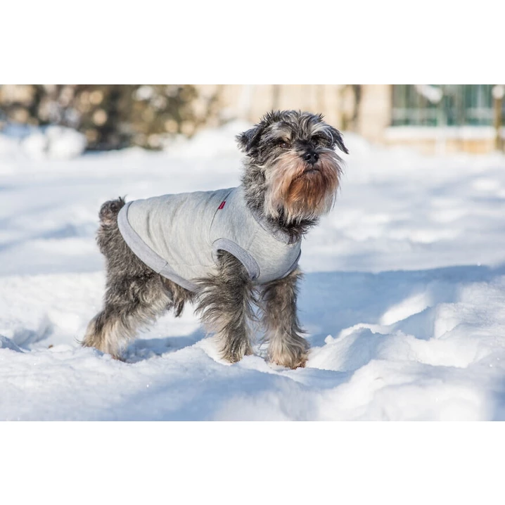 AMIPLAY Denver - jesienno-zimowa bluza dla psa, szara - 2