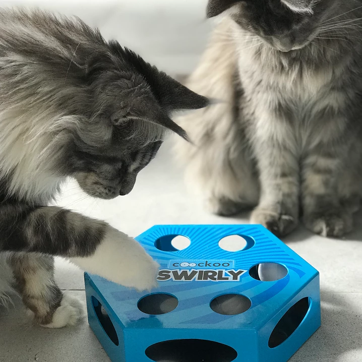 COOCKOO Swirly - interaktywna zabawka dla kota na baterie, z piórkami i piłeczką, niebieska - 2