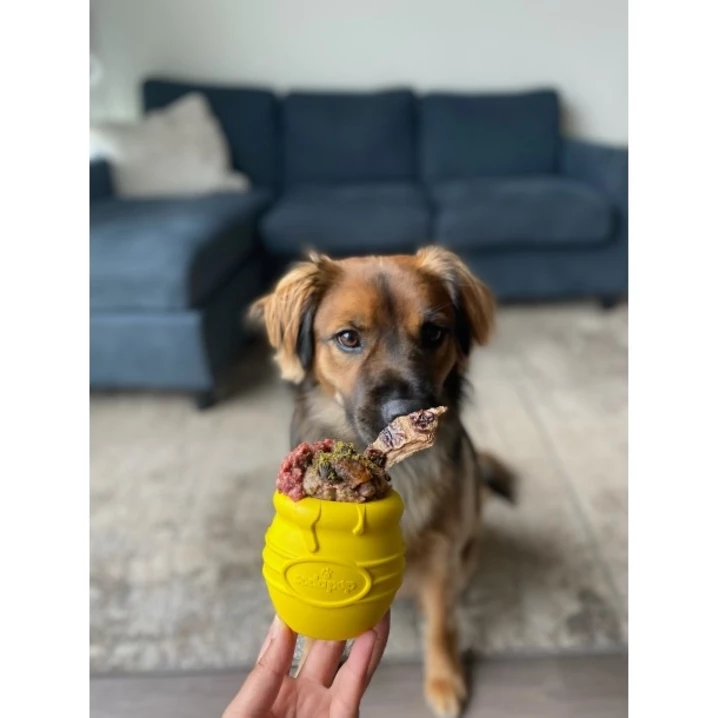 SODA PUP Honey Pot - zabawka garnuszek dla psa do wypełniania jedzeniem, niebieska - 2