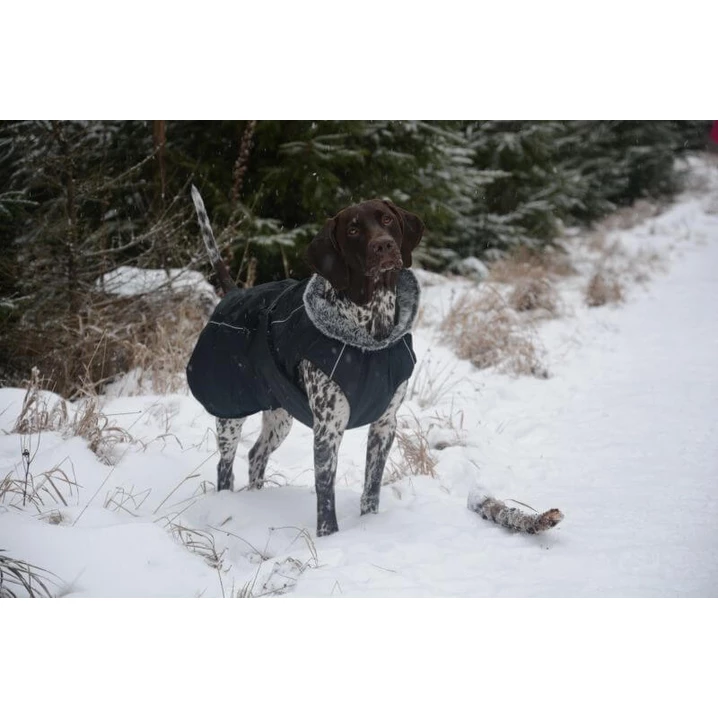 TRUELOVE Comfort Plus - ocieplana derka zimowa dla psa, czarna - 2