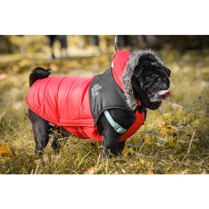 ZOLUX Mountain - ciepła, puchowa kurtka dla psa, czerwona - 5