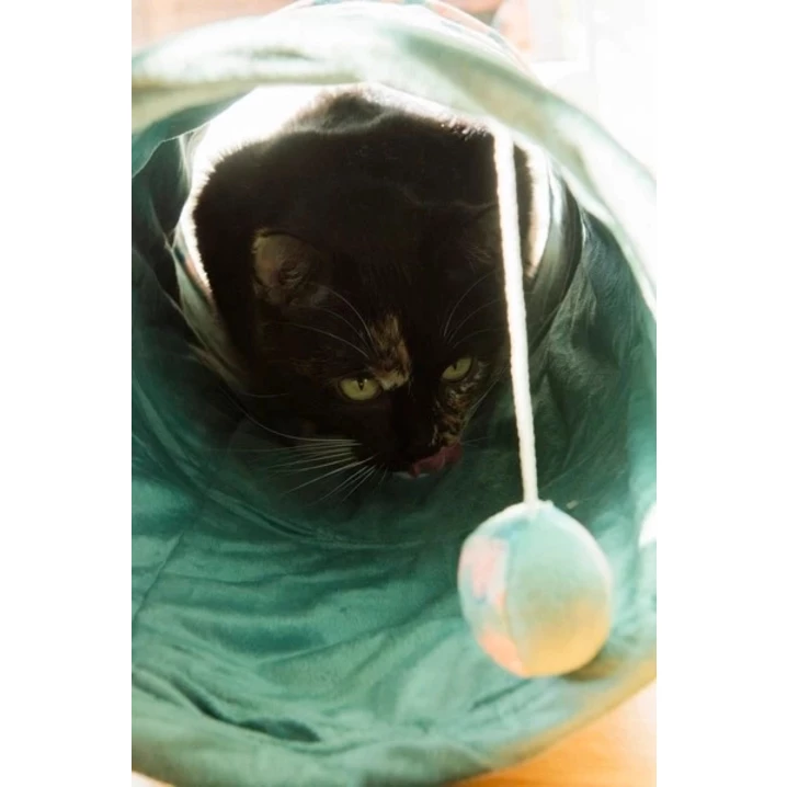 ZOLUX Ethi'cat - kolorowy tunel dla kota z zabawką, wykonany w ekologicznych materiałów, turkusowy 50cm - 7