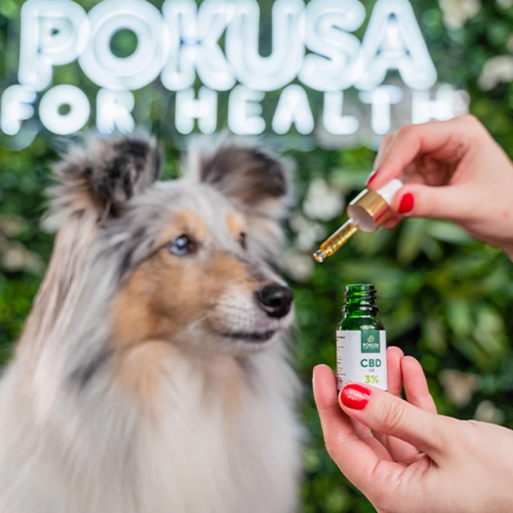 POKUSA GreenLine CBD oil 3% - olejek CBD z olejem z łososia dla psów i kotów 10ml - 3