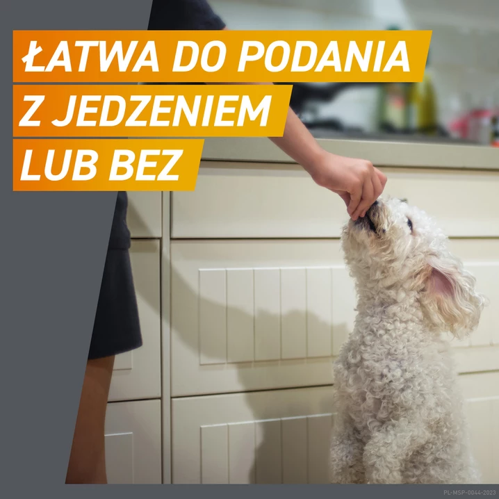 FRONTPRO 28,3 mg - smaczne tabletka na pchły i kleszcze dla psów o wadze 4-10 kg, na trzy miesiące stosowania - 3