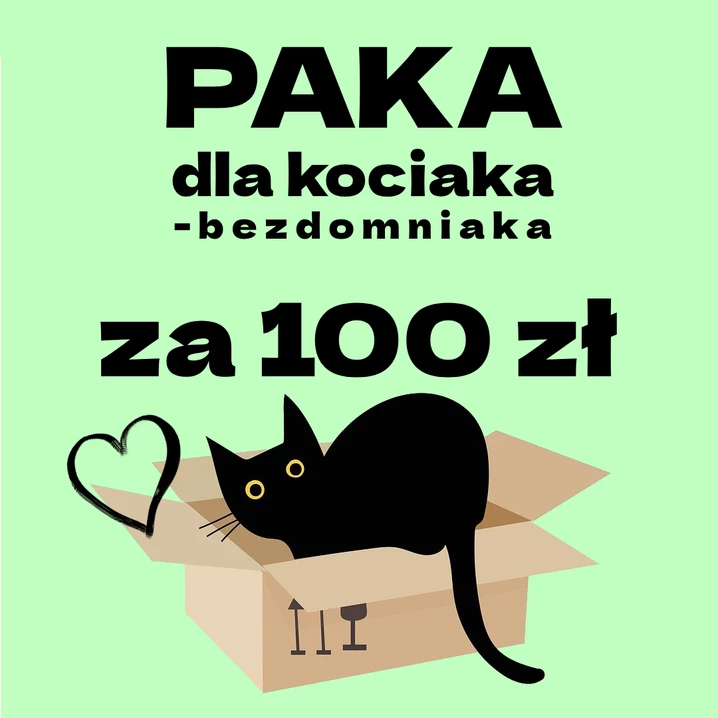Charytatywna paczka z jedzeniem dla kociąt w potrzebie o wartości 100 zł - szczegóły akcji w opisie produktu