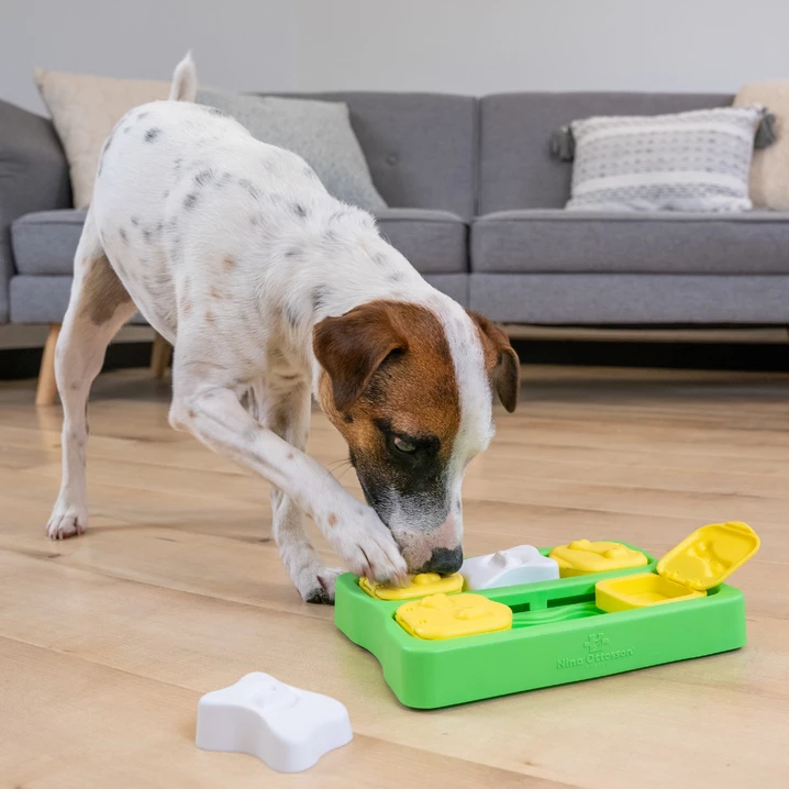OUTWARD HOUND Nina Ottosson Dog Brick Small - zabawka interaktywna, łamigłówka dla szczeniąt i małych psów - 2