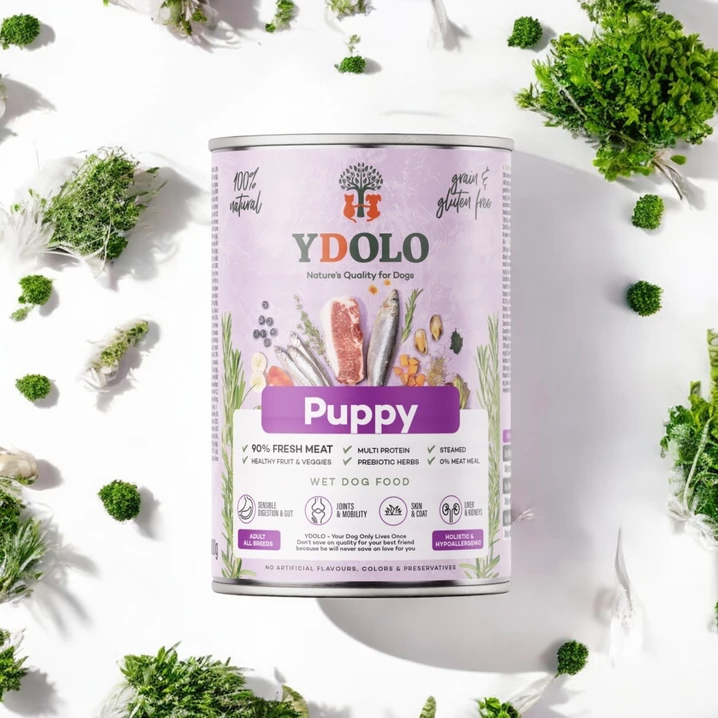 YDOLO Healthy&Pure Puppy - wysokomięsna, mokra karma dla szczeniaka, z mięsa wieprzowego Iberico i ryby 400g - 4