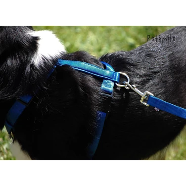 ZOLUX Cushion miękkie, nylonowe szelki dla psa typu guard, niebieskie - 4