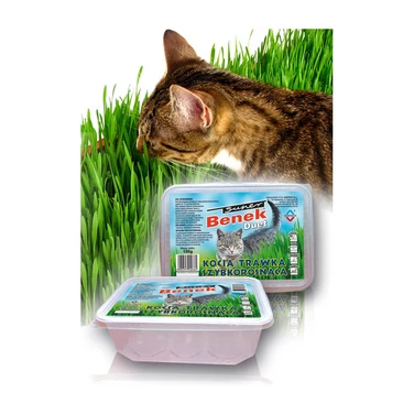 BENEK trawa dla kota szybkorosnąca 150 g