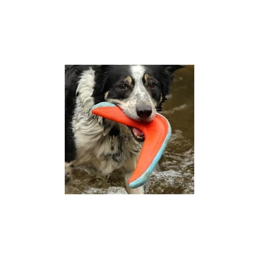 CHUCKIT! Amphibious Boomerang - unoszący się na wodzie aport dla psa w kształcie bumerangu 24,5 cm - 3