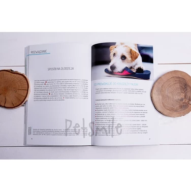Jak to ugryźć? Czyli pies w domu - Magdalena Łęczycka - 5