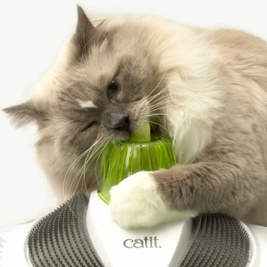 CATIT Senses Wellness Center - legowisko i masażer z kocimiętką dla kota - 5