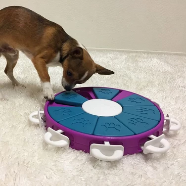 OUTWARD HOUND Nina Ottosson Dog Twister - zabawka interaktywna, łamigłówka dla psa, poziom 3 - 2
