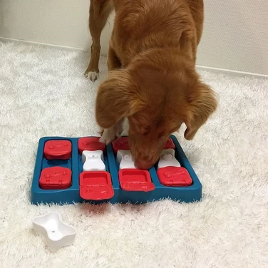 OUTWARD HOUND Nina Ottosson Dog Brick - zabawka interaktywna, łamigłówka dla psa, poziom 2 - 4