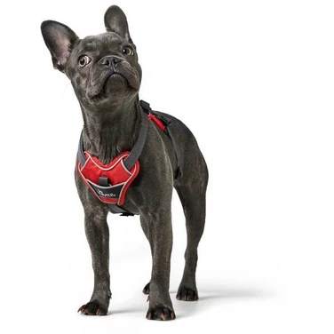 HUNTER Divo - bezuciskowe szelki dla psa typu guard z opcją easy walk, czerwone - 5