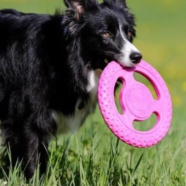 KIWI WALKER Frisbee - pływające frisbee dla psa do aportu i przeciągania, różowe - 2
