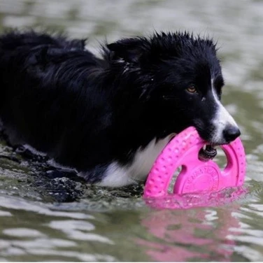 KIWI WALKER Frisbee - pływające frisbee dla psa do aportu i przeciągania, różowe - 3