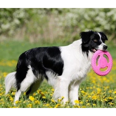 KIWI WALKER Frisbee - pływające frisbee dla psa do aportu i przeciągania, różowe - 4