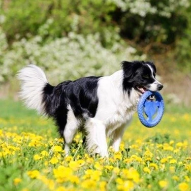 KIWI WALKER Frisbee - pływające frisbee dla psa do aportu i przeciągania, niebieskie - 10